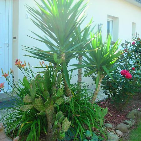 Les Hydrangeas Bed and Breakfast Plougastel-Daoulas Esterno foto