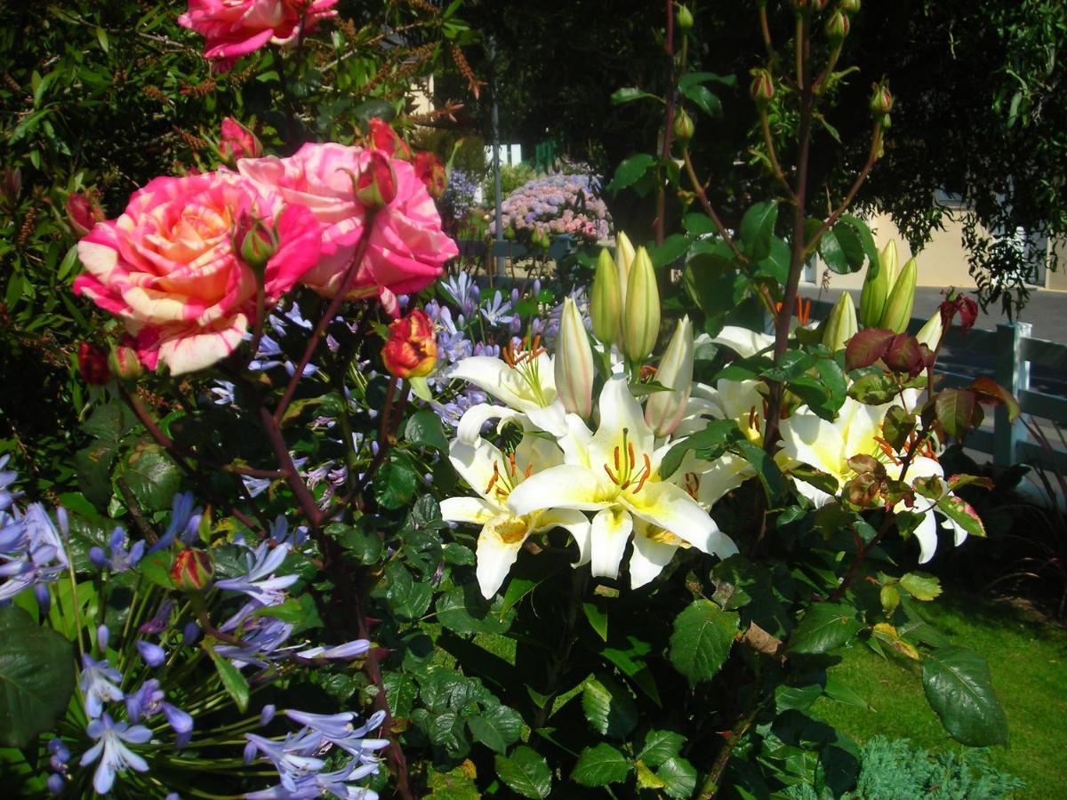 Les Hydrangeas Bed and Breakfast Plougastel-Daoulas Esterno foto